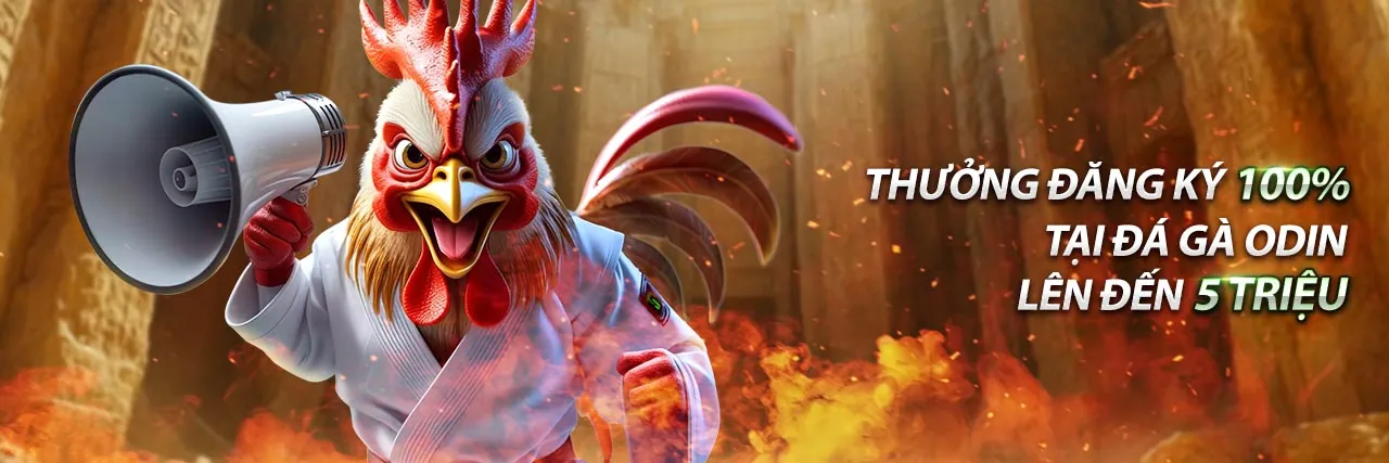 Tổng quan các cấp độ VIP của xoxo 66