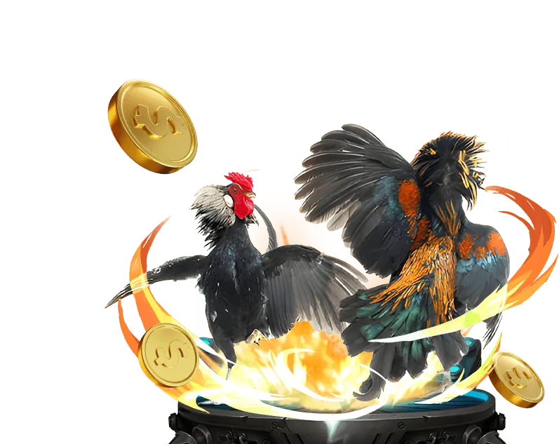 Các sự kiện và khuyến mãi độc quyền tại xoxo 66