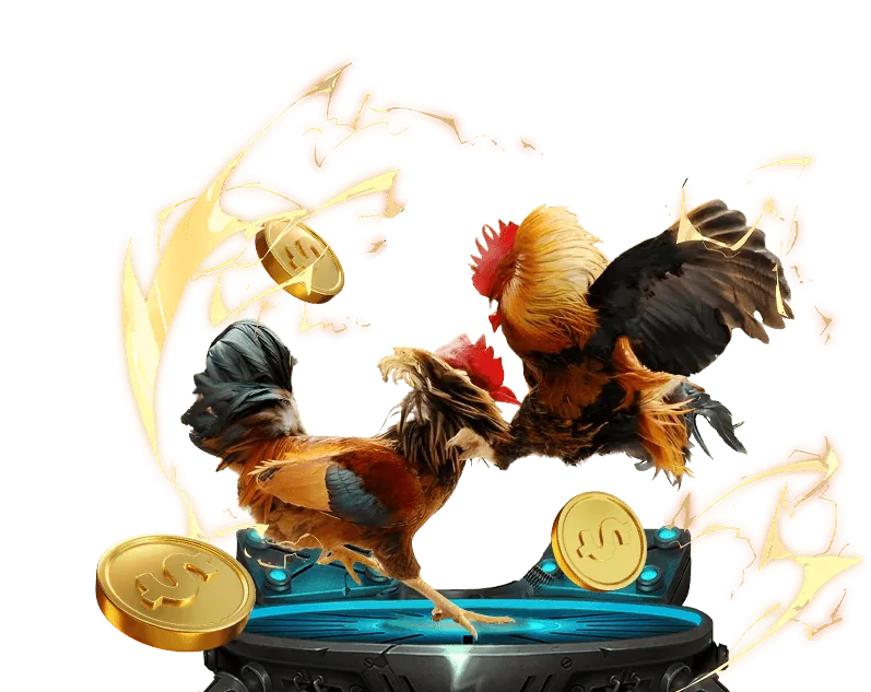 Tổng quan về nền tảng cá cược thể thao xoxo 66